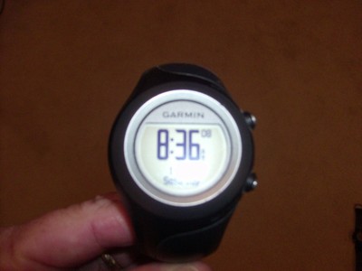 garmin forerunner 110 frozen