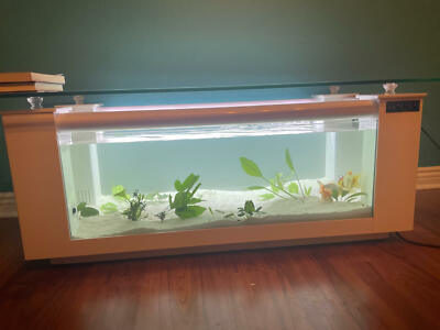 WARRANTY INCLUDED! 45 gallon GLASS rectangle table aquarium fish tank full setup