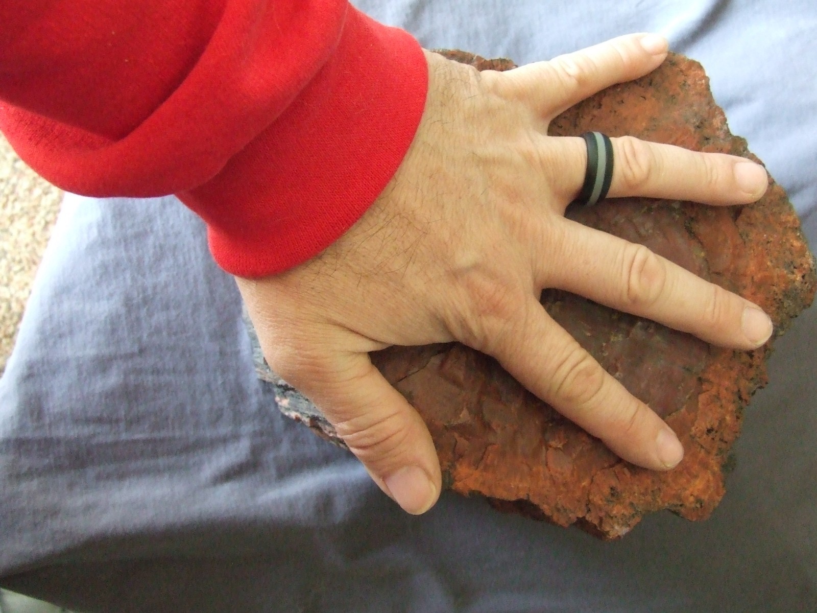 Natural Arizona Rainbow Petrified Wood Fossil Rough Log Lapidary Slab- 32 Lbs
