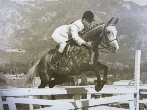 Vintage Equestrian Horse Jumping Photo 14" Young Man English Show Riding 1950