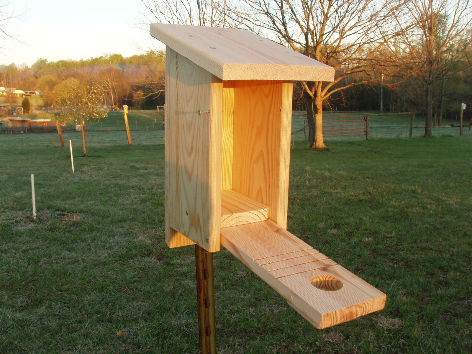Deluxel Bluebird House (Quantity 4)