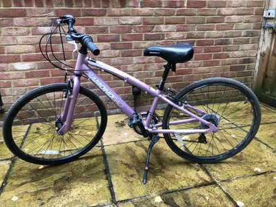 diamondback clarity 24 purple