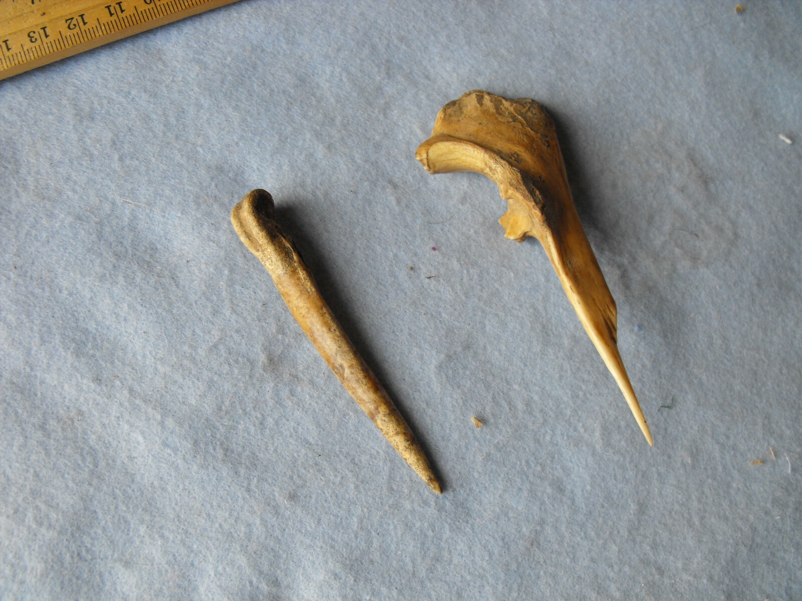 2 pc awls needles Alabama arrowhead collection,Indian artifact  # 69