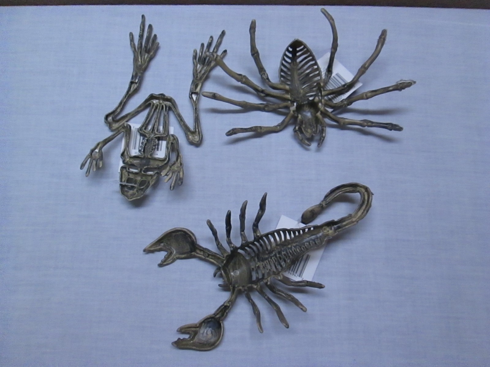 SKELETON CREATURES SET OF 3 SPIDER/FROG/ MORE NWT