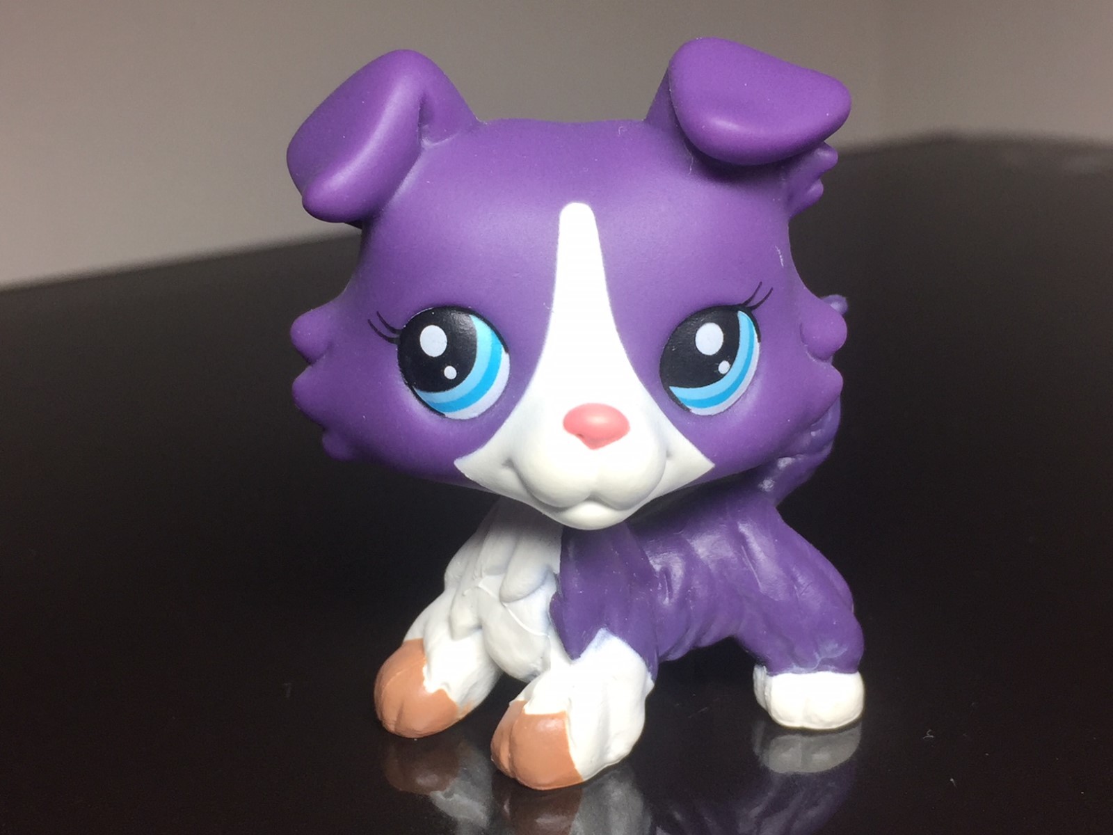 lps purple collie