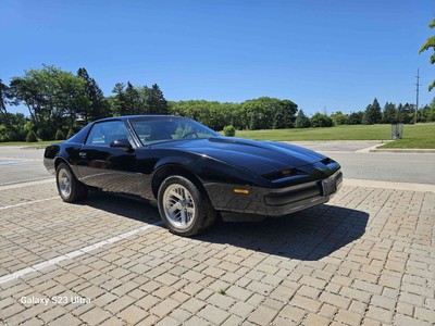 image 14 of exterior