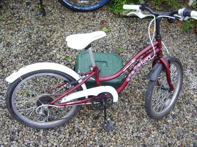 dunlop bicycle