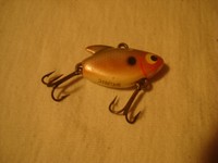 idealer Köderfisch Futterfisch 20 Stück gefrorene Moderlieschen 4-5,5 cm