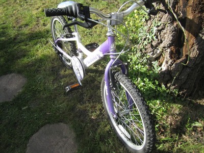 Girls Bike 16'