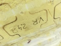 Toyota Corolla E21 18-23 Kombi Sitzbezug Sitzpolster für Beifahrersitz Rechts Vorne beheizt Toyota Corolla E21... Vorschau 7