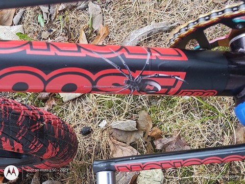 Artikelfoto(s) von einem verifizierten Käufer