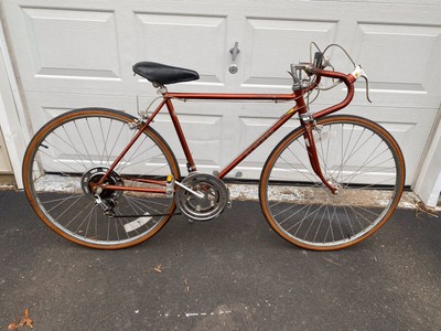 1986 schwinn sprint