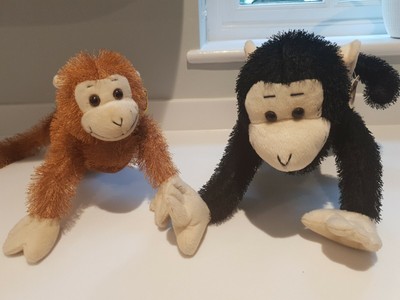 whitehouse leisure paws