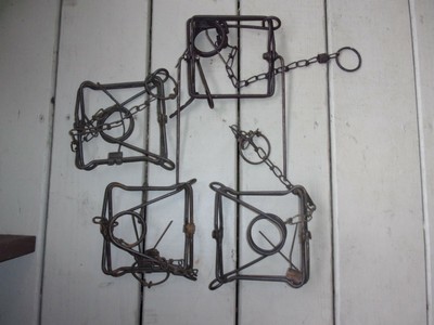 110 Conibear Traps for sale | Only 4 left at -75%