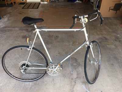 panasonic sport deluxe 10 speed