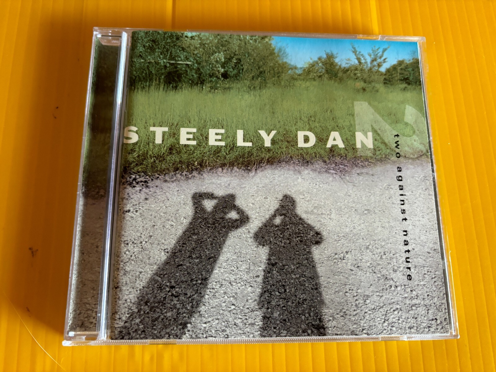 Steely Dan Two Against Nature Walter Becker Donald Fagen