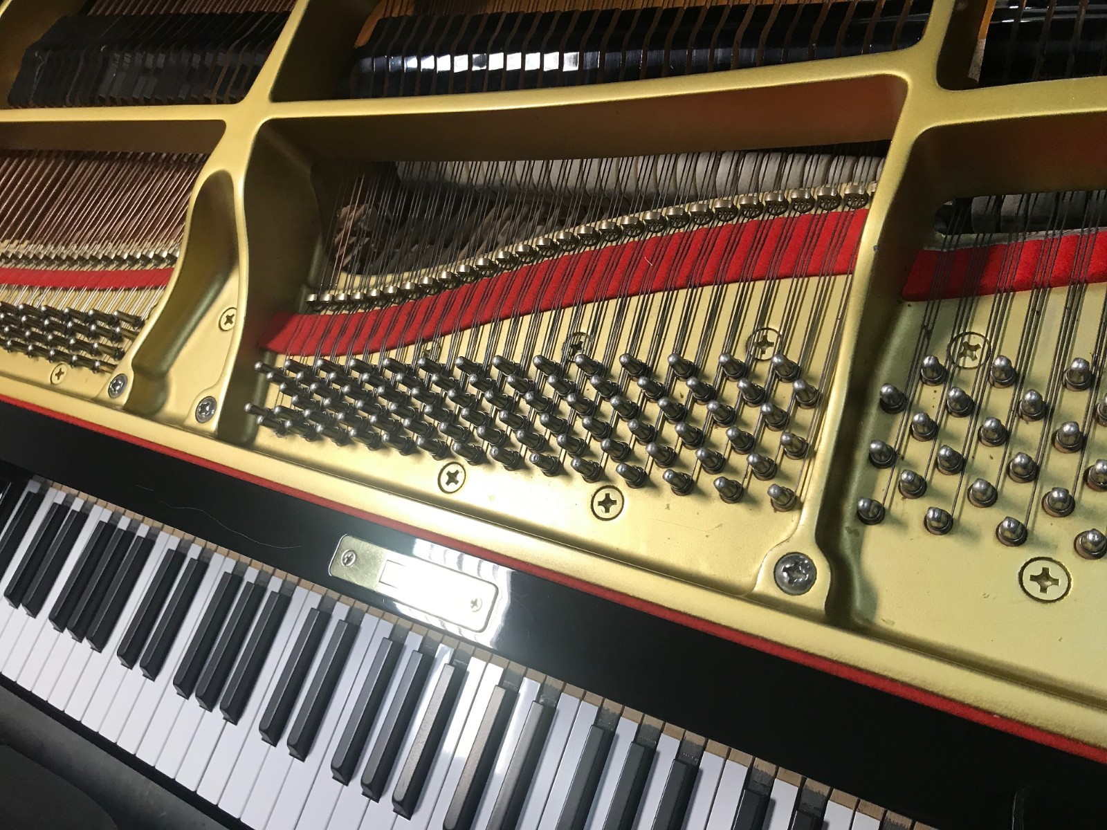 YAMAHA G2 GRAND PIANO - SUPER PRISTINE - 1994 - VIDEO - FREE SHIPPING