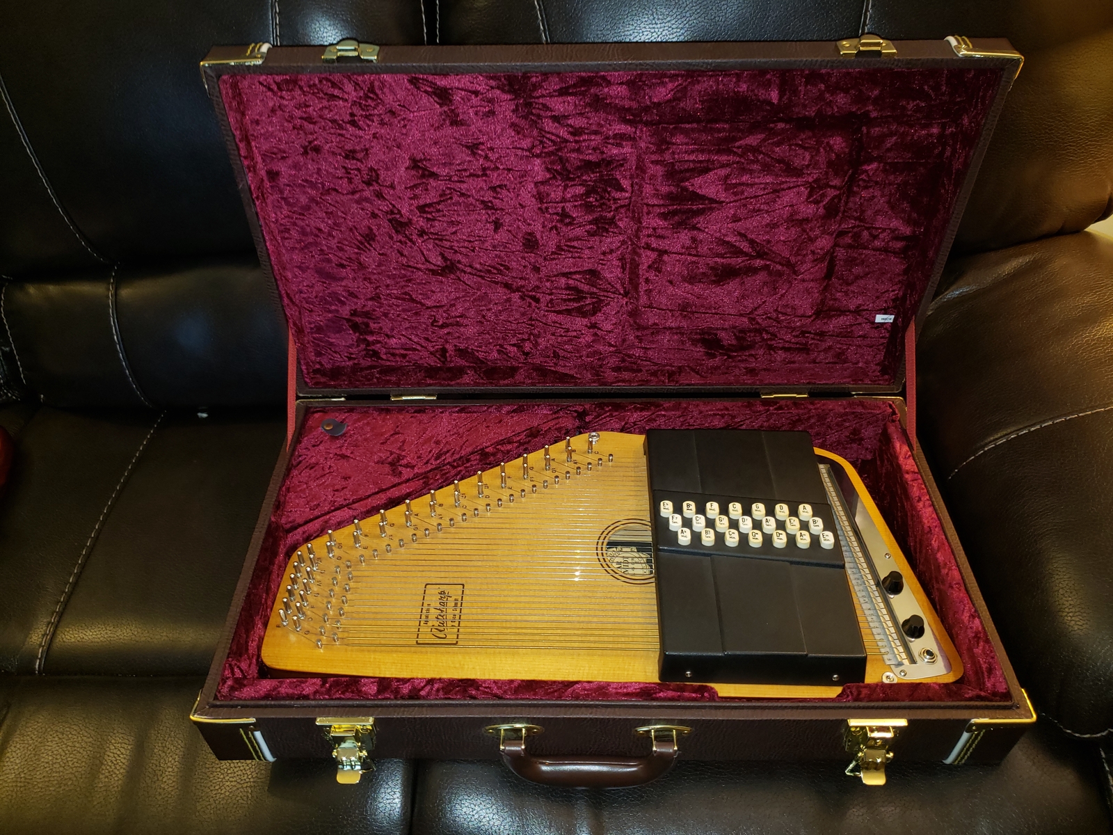 Deluxe Hardshell Case For Autoharp 801128501017 eBay