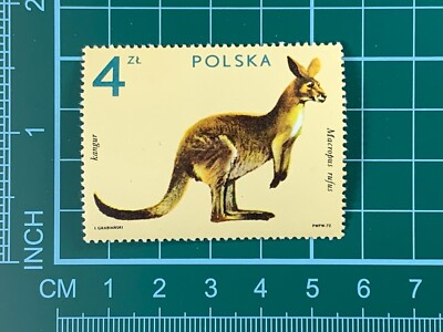 4 zt  Polska Kangur PWPW 72 Poland Single Stamp  