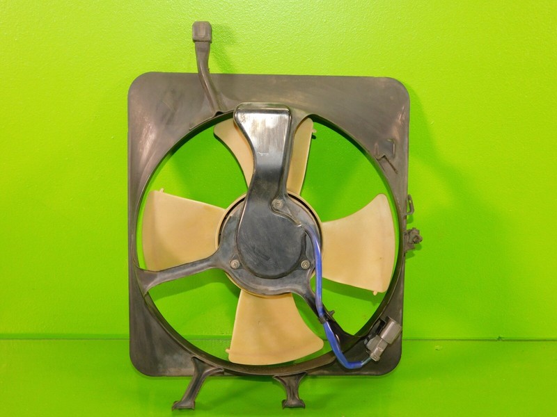 Picture 2