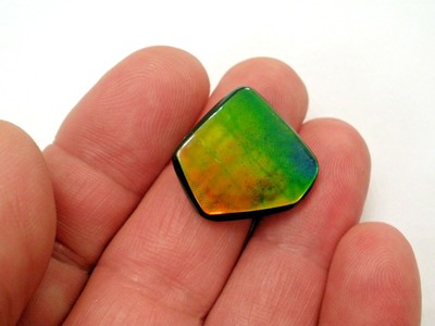 Beautiful Canadian Ammolite Gemstone, Red, Green and Blue Broadflash