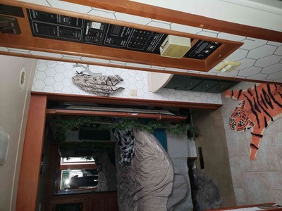 image 4 of interior