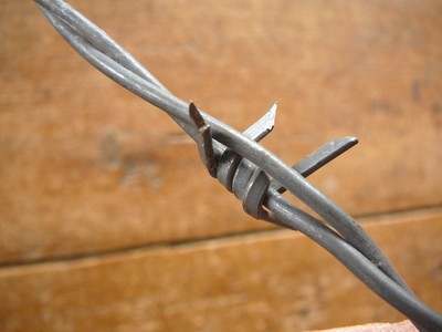 DODGE & WASHBURNS FOUR POINT FLAT WIRE  BARBS 1 of 2 LINES - ANTIQUE BARBED WIRE