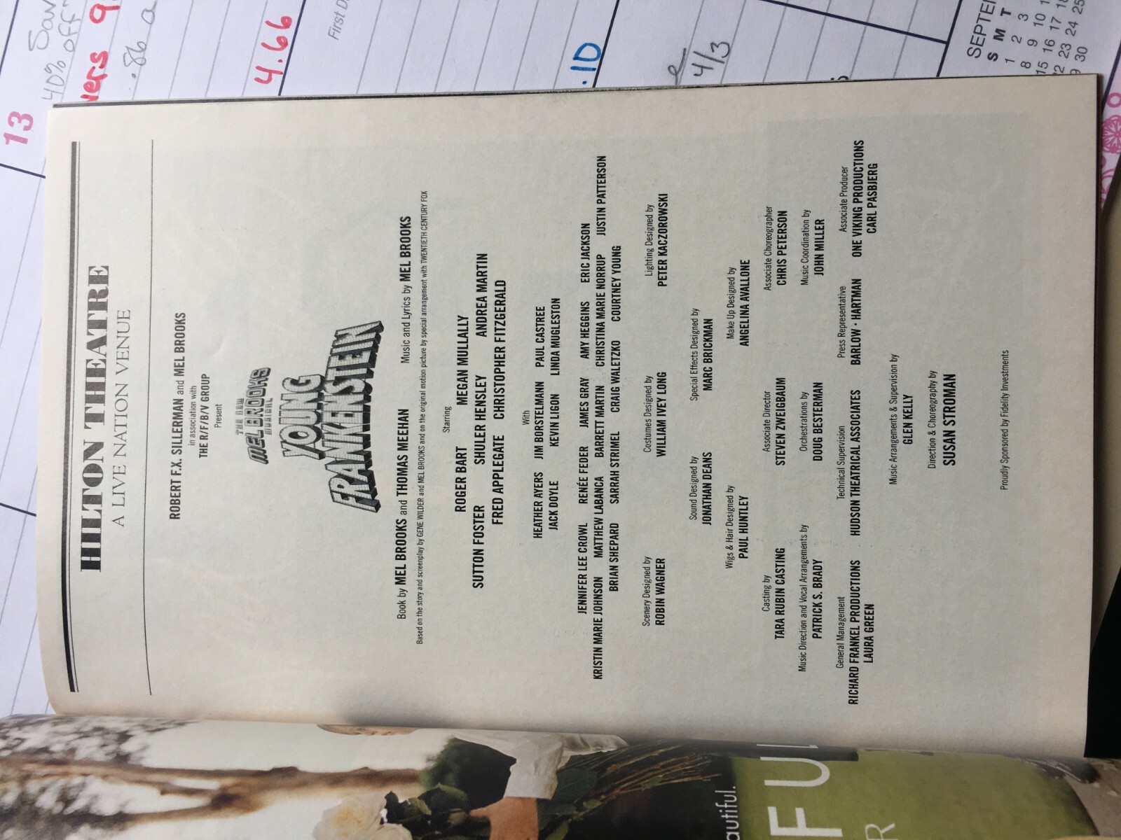 BROADWAY PLAYBILL PROGRAM YOUNG FRANKENSTEIN MEL BROOKS MEGAN MULLALLY HILTON