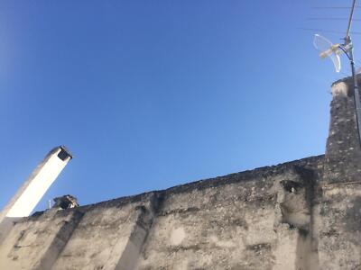 Foto dell'oggetto di un acquirente verificato