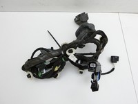 Renault Talisman 15-22 Kombi Kabelbaum für Tür und Fensterheber Rechts Vorne Renault Talisman 15-22 12.02.2019... Vorschau 3