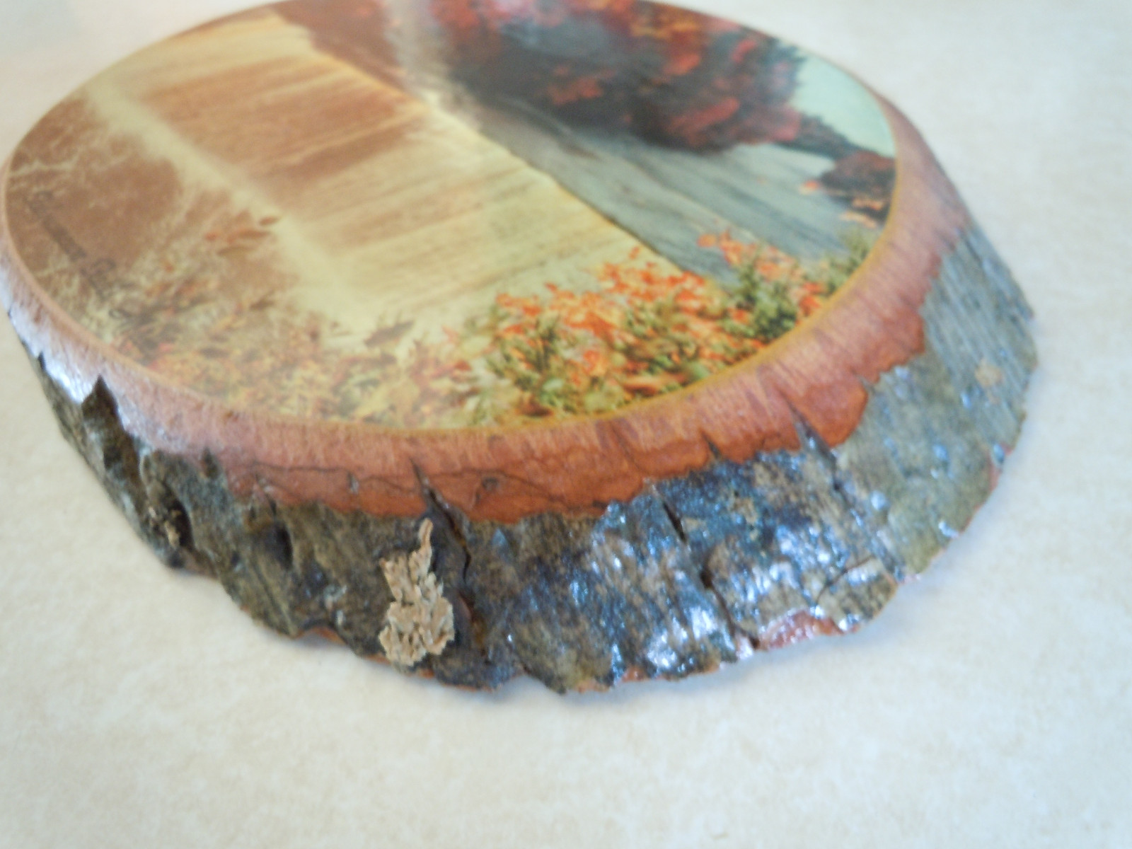 Vintage Wooden Photo Wall Hanging of Lower Tahquamenon Falls Michigan.  1950's