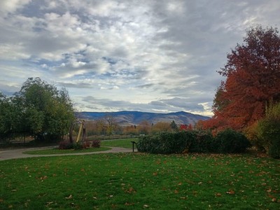 Objectfoto('s) van geverifieerde koper