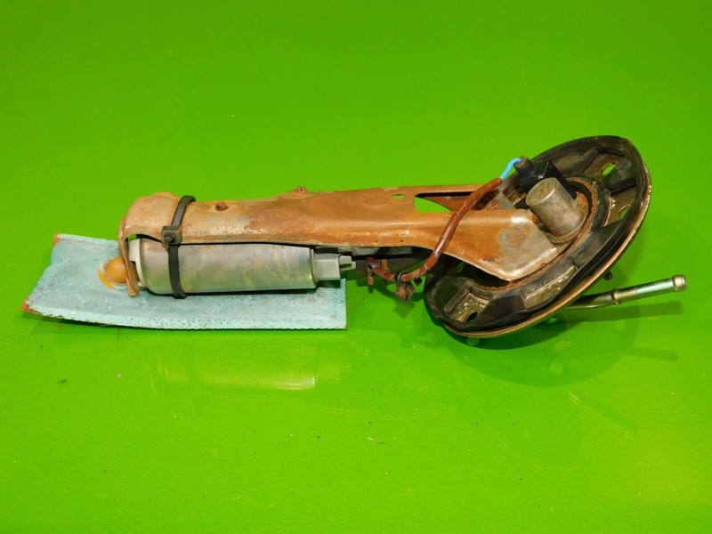 Picture 4