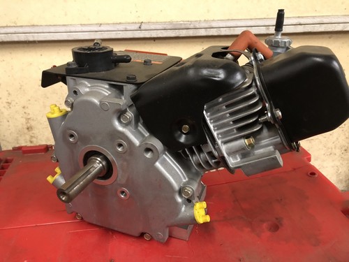 Briggs & Stratton Animal Kart Racing Engine New Old Stock