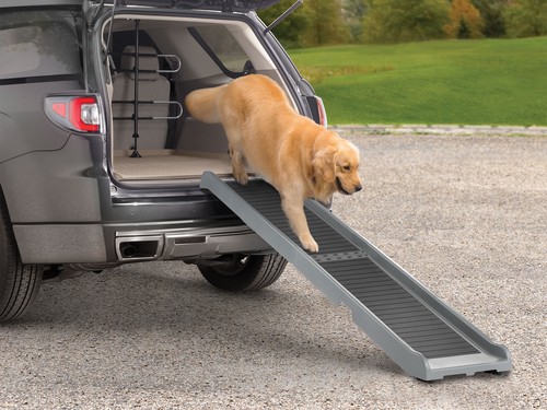 subaru forester dog ramp