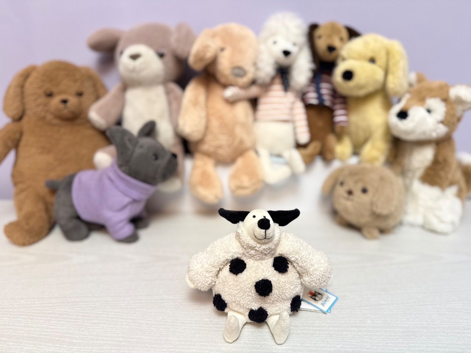 Jellycat Extremely Rare Retired Poloneck Peeker Dalmatian Dog, New With Tags