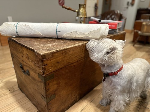 Item photo(s) from verified buyer