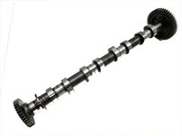 Renault Koleos HY 07-11 dCi 2,0 110KW M9R615 Nockenwelle Auslass Renault Koleos HY 07-11 20.11.2008 8200456103 gebraucht Vorschau 1