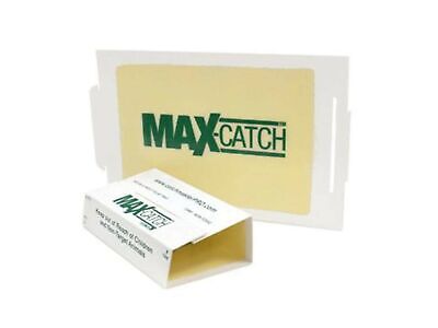 Garden Pest Control Trap White Mouse Glue Boards Peanut Butter Scented 36 Count