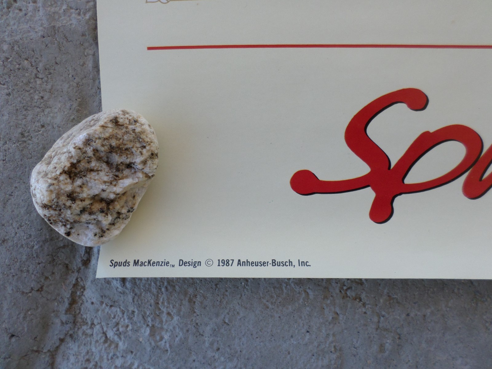 1987 VINTAGE BUDWEISER BEER POSTER SPUDS MACKENZIE 