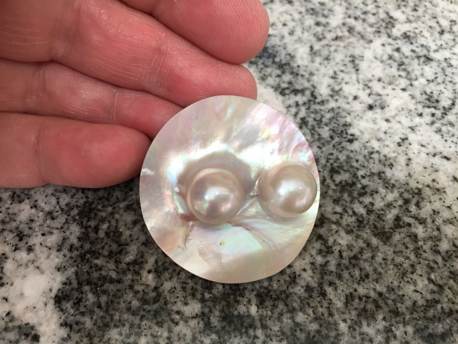 Gorgeous Double South Sea Mabe Pearl in Shell