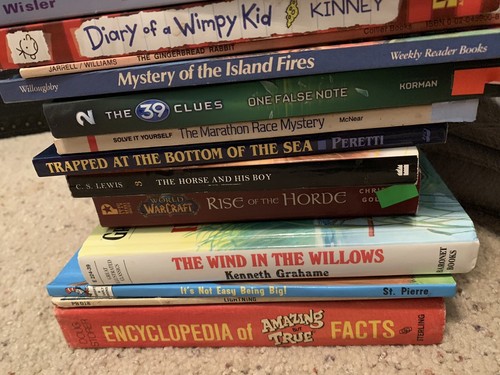 Mixed Lot 40+ Children/ Teen Books Scholastic Junie B Beverly Cleary Wimpy Kid