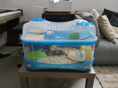 Fotos del artículo de un comprador verificado