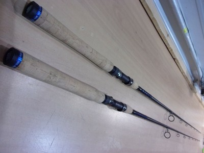 ugly stik intercoastal