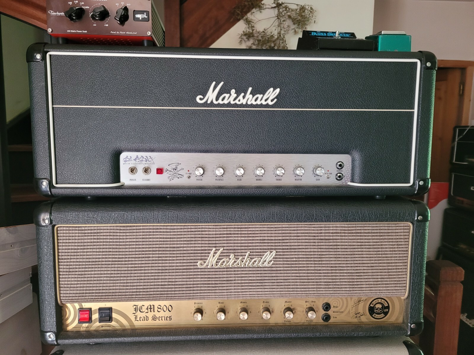 rare collector - Marshall AFD100 Slash Signature Appetite