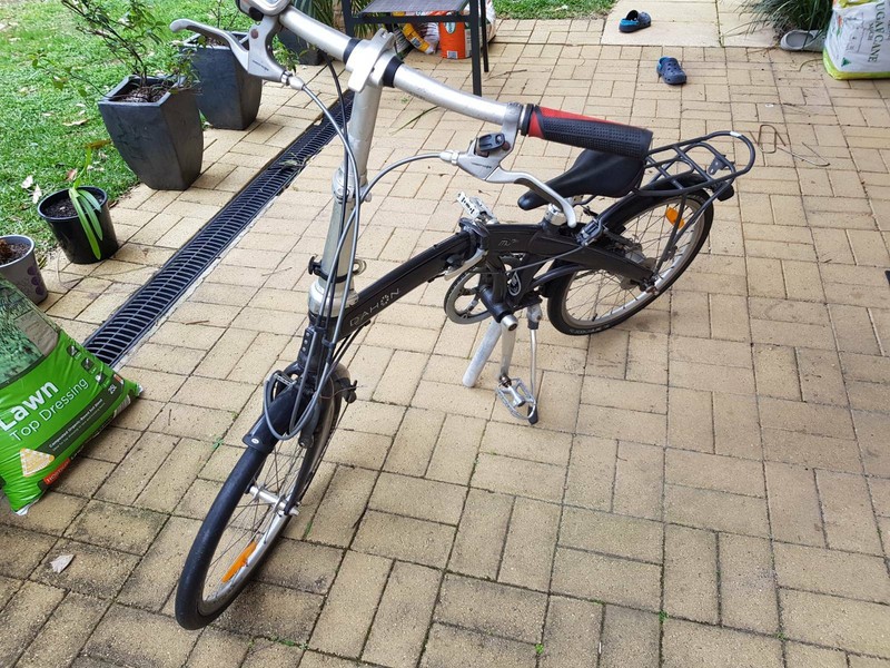 dahon gumtree