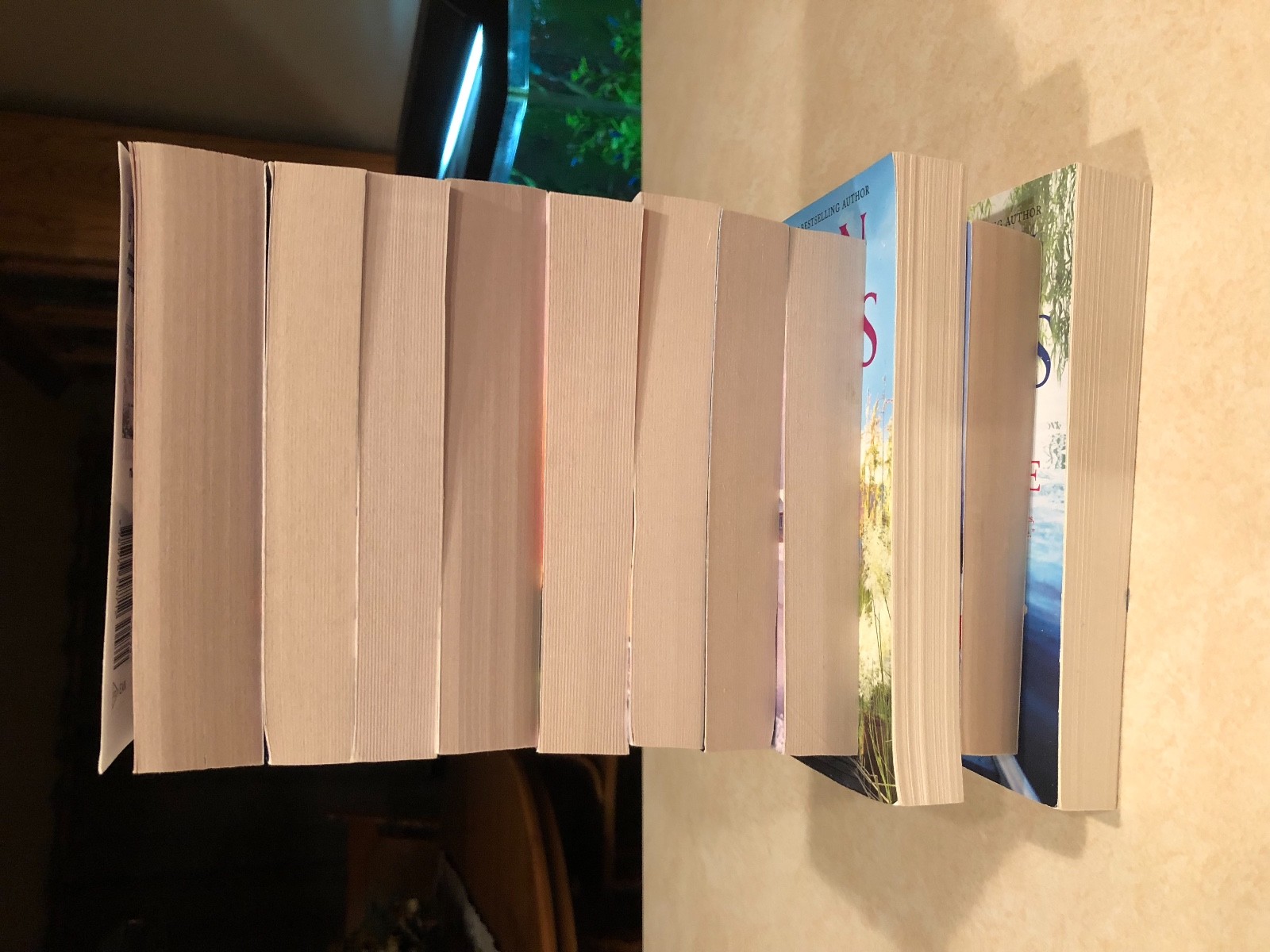 Susan Wiggs Lakeshore Chronicles Series - 11 Books in Lot