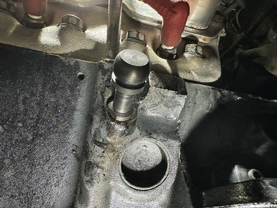 Fotos del artículo de un comprador verificado