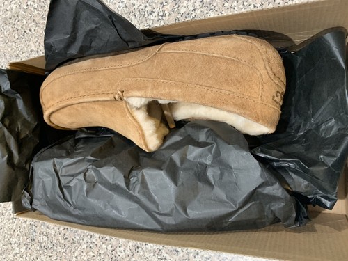 NEW!! UGG Men's Ascot Suede Slipper, Chestnut, SIZE 13, New In Box! 5775 M / CHE