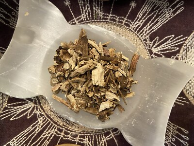 Echinacea Root, Strength, Protection During Travel, Money, Strengthen Spells
